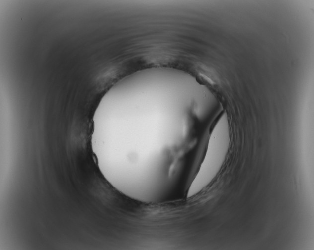 X0000086791012200704201839