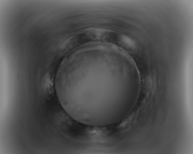 X0000086791013200704201839