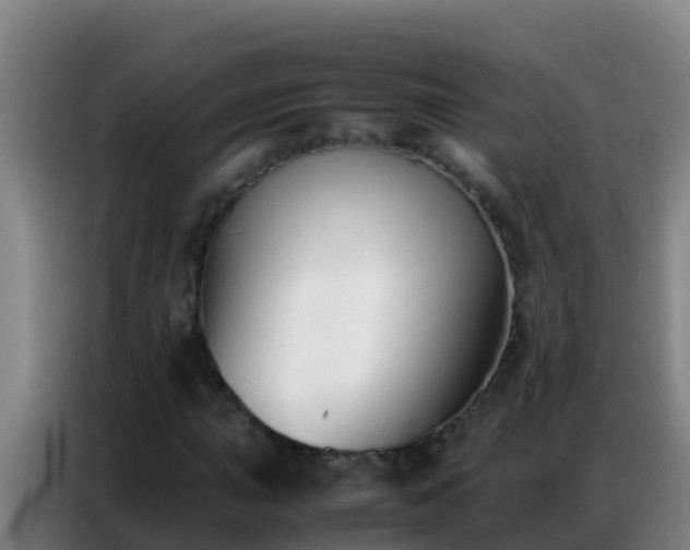 X0000086791015200704201839