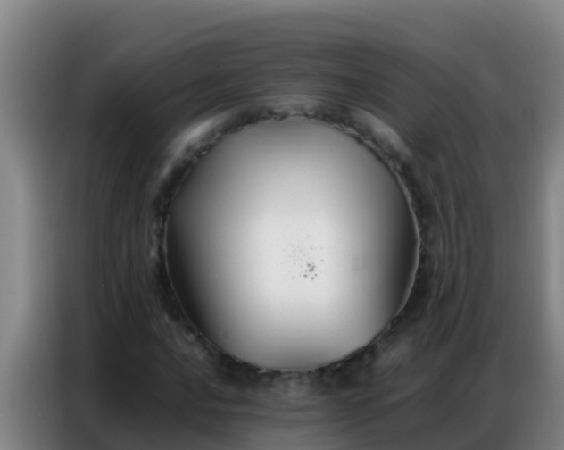 X0000086791016200704201839