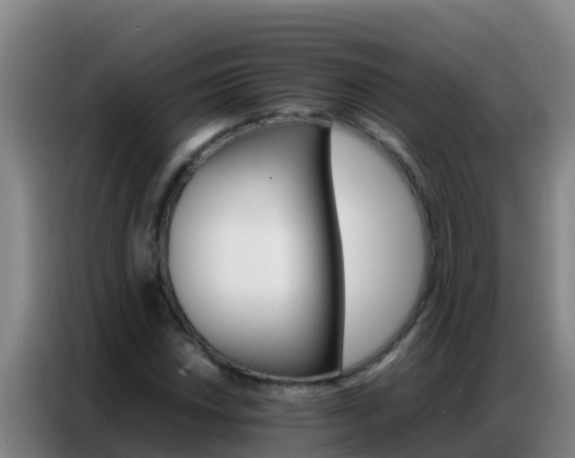 X0000086791018200704201839