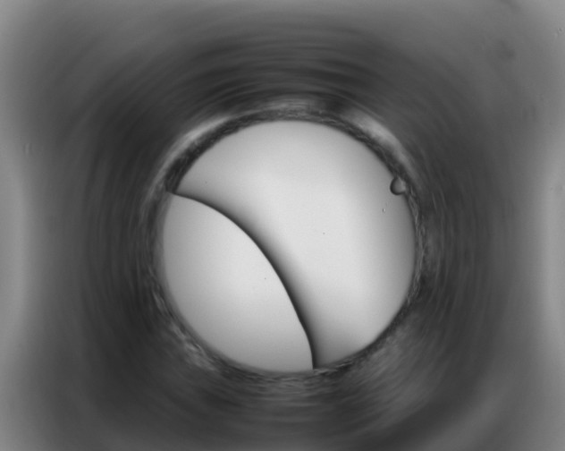 X0000086791019200704201839