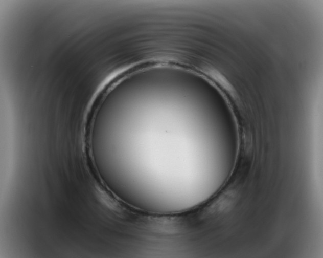 X0000086791020200704201839