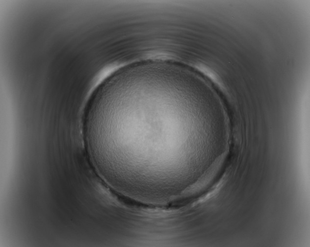 X0000086791022200704201839