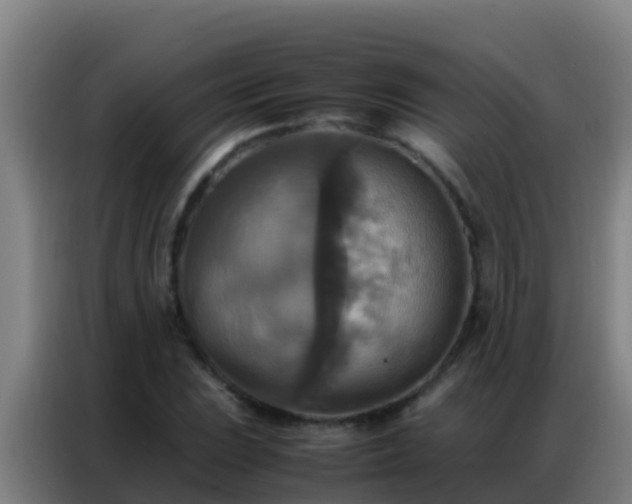 X0000086791023200704201839