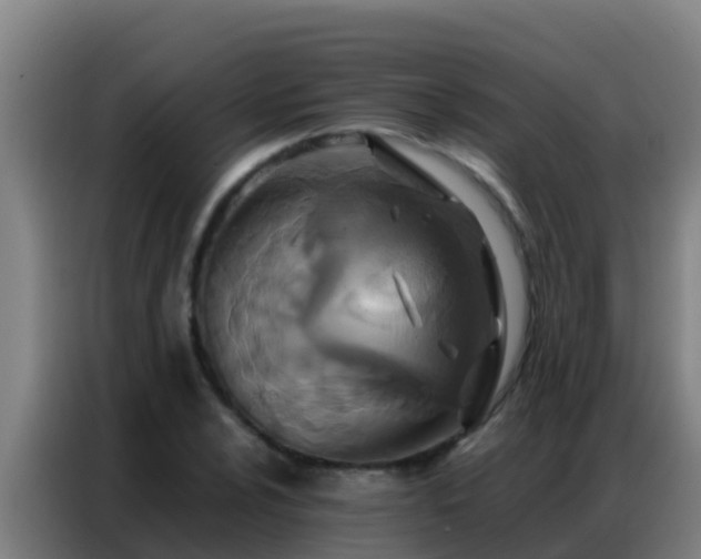 X0000086791024200704201839