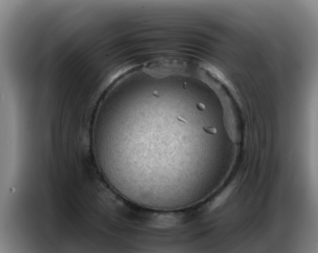X0000086791025200704201839