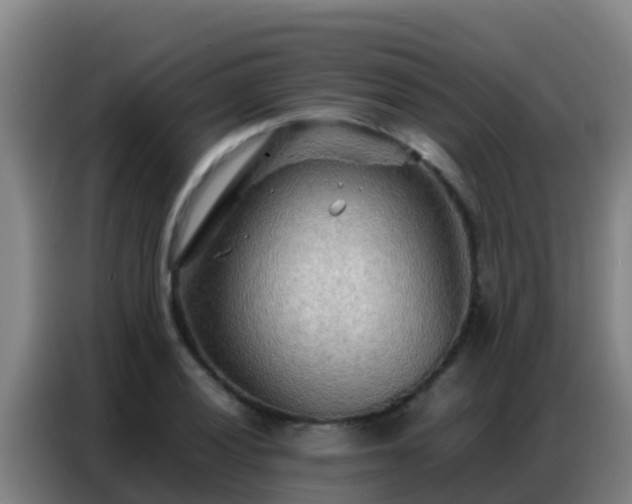X0000086791028200704201839
