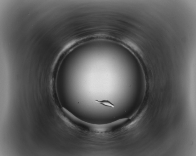 X0000086791029200704201839