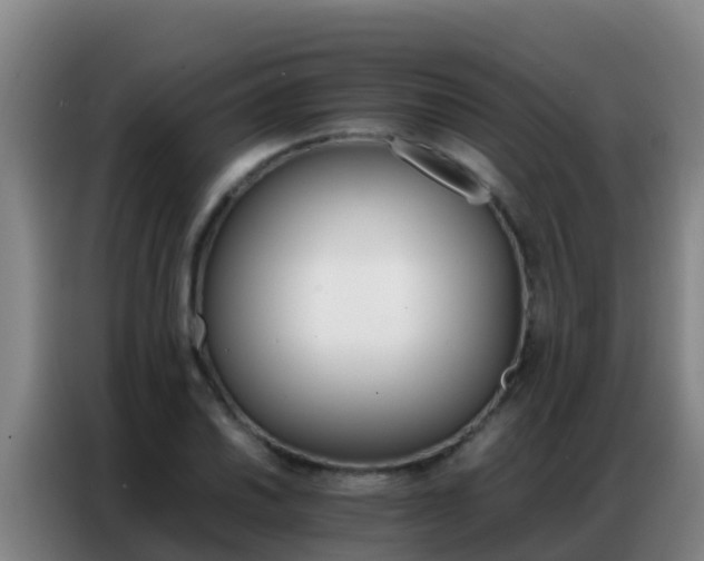 X0000086791030200704201839