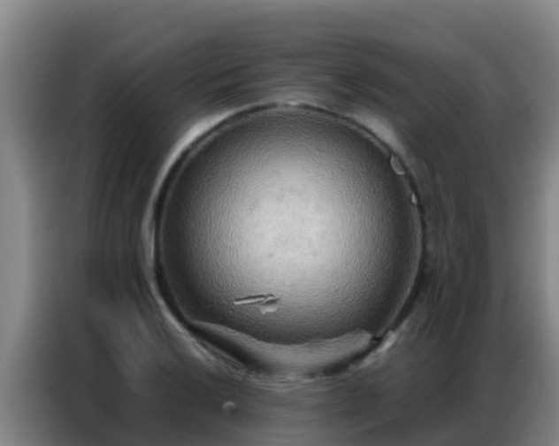 X0000086791032200704201839
