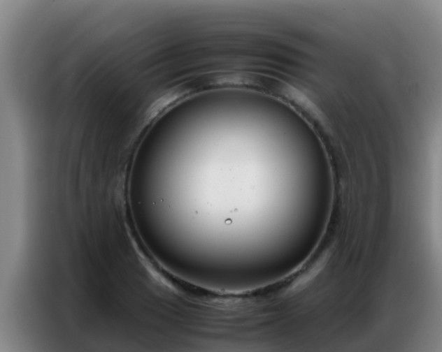 X0000086791033200704201839