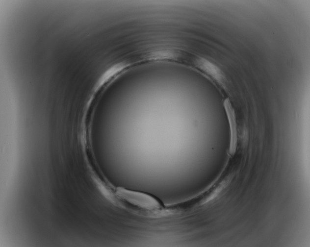 X0000086791034200704201839