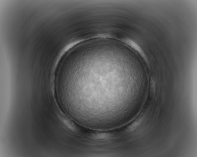 X0000086791035200704201839