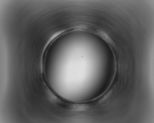 X0000086791036200704201840
