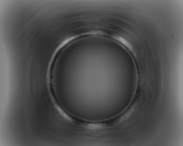 X0000086791037200704201840