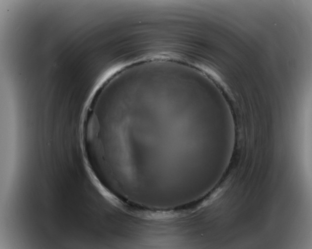 X0000086791038200704201840