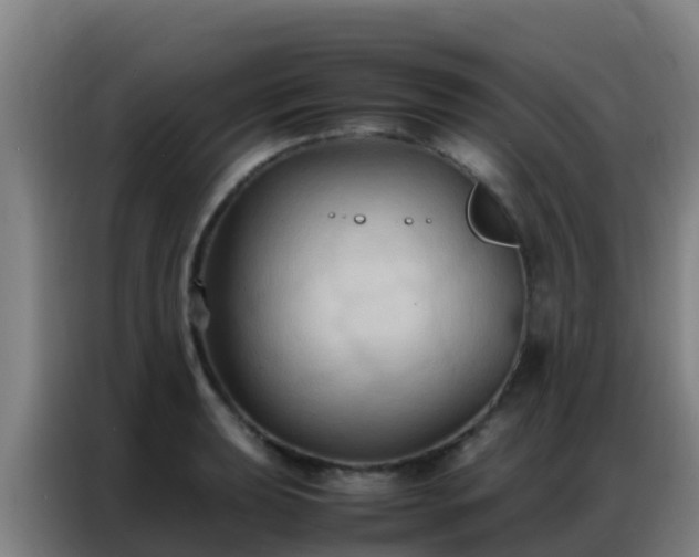X0000086791039200704201840