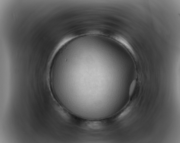 X0000086791043200704201840