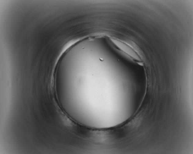 X0000086791044200704201840