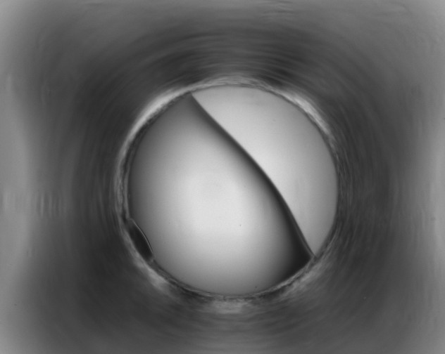X0000086791046200704201840