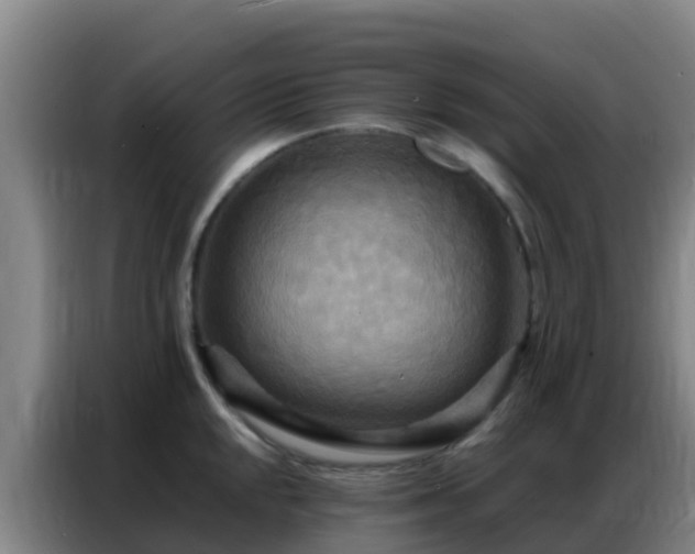 X0000086791048200704201840