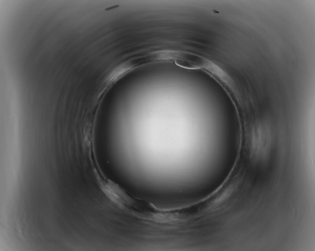 X0000086791049200704201840