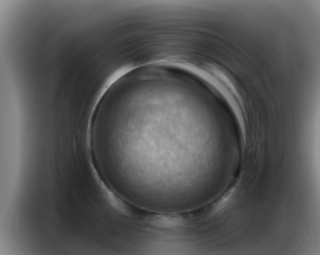 X0000086791050200704201840