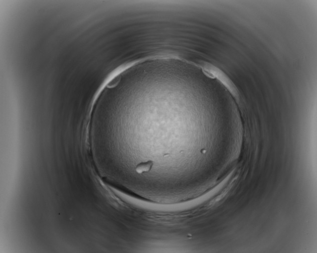 X0000086791052200704201840