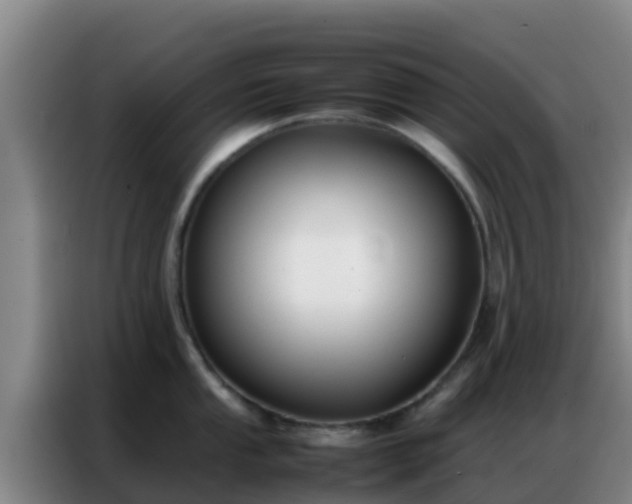 X0000086791053200704201840