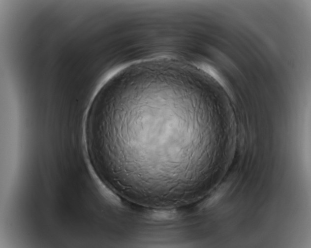 X0000086791055200704201840