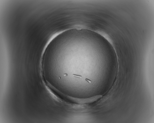 X0000086791056200704201840
