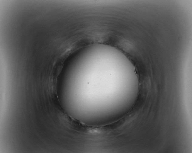 X0000086791058200704201839