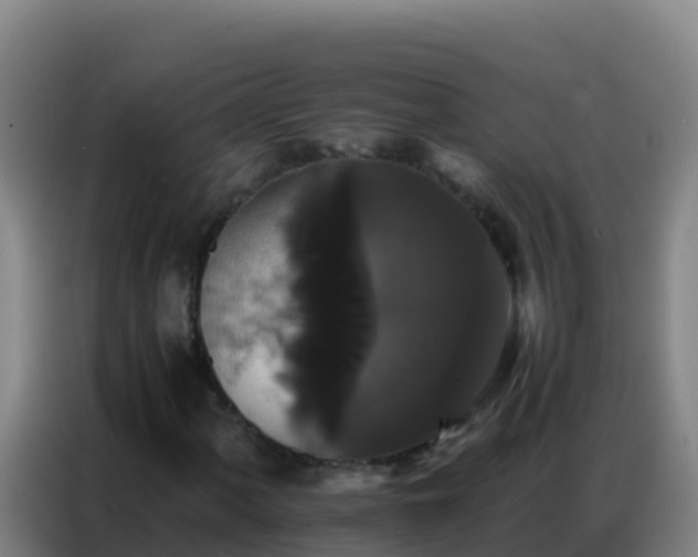 X0000086791060200704201839