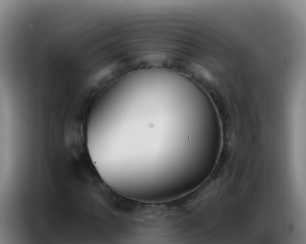 X0000086791062200704201839