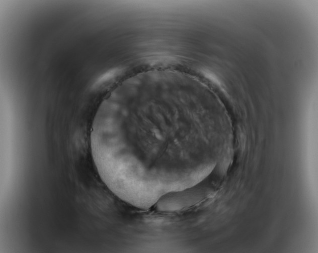 X0000086791063200704201839