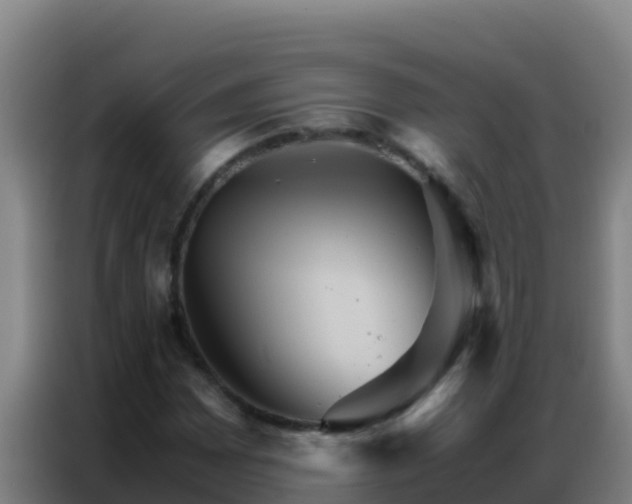 X0000086791065200704201839