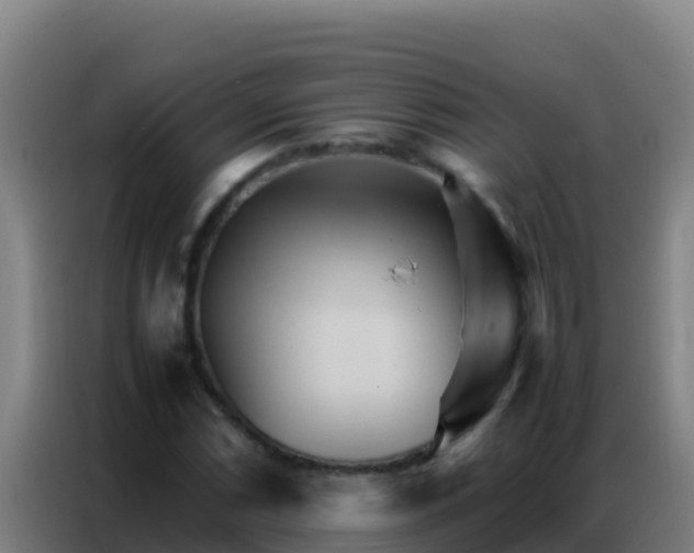 X0000086791066200704201839