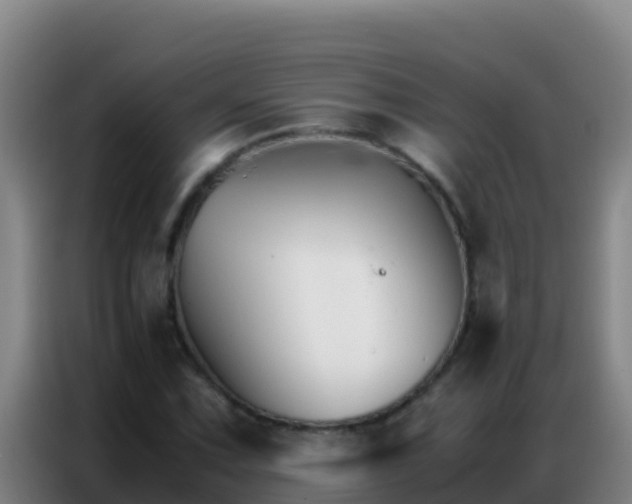 X0000086791067200704201839