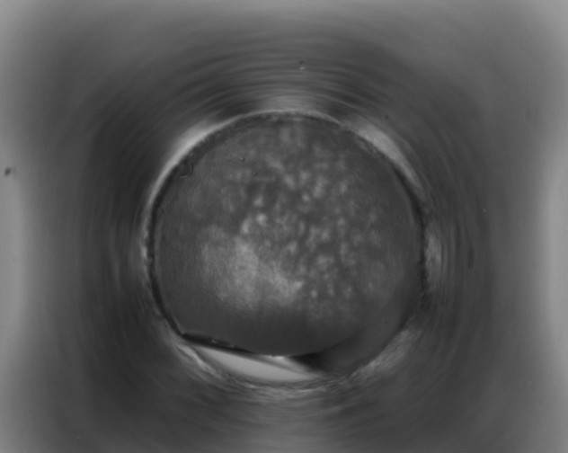 X0000086791068200704201839