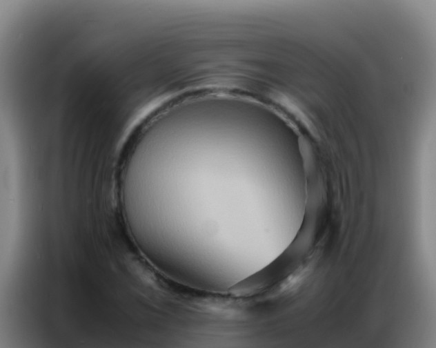 X0000086791069200704201839