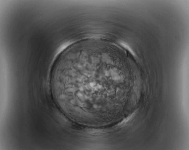 X0000086791071200704201839