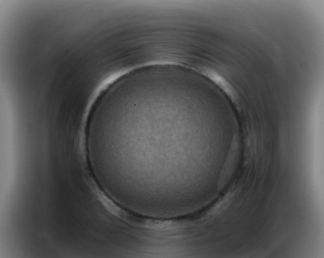X0000086791072200704201839