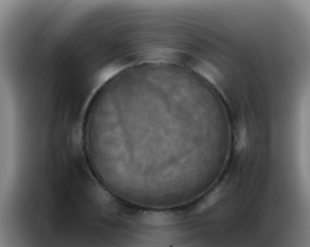 X0000086791074200704201839