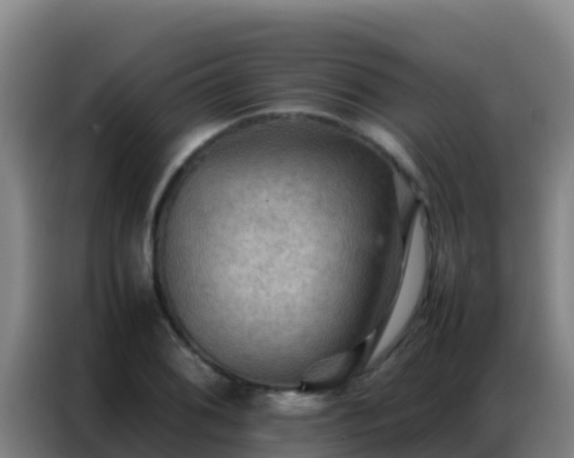 X0000086791076200704201839