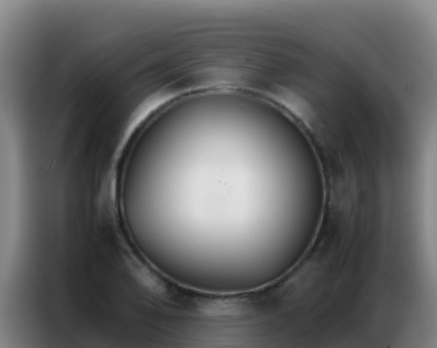 X0000086791078200704201839