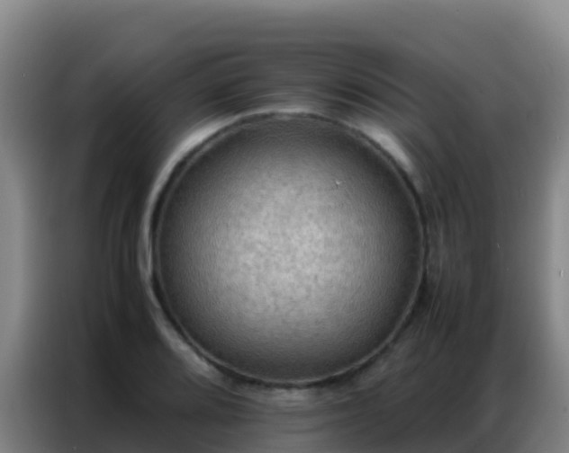 X0000086791080200704201839