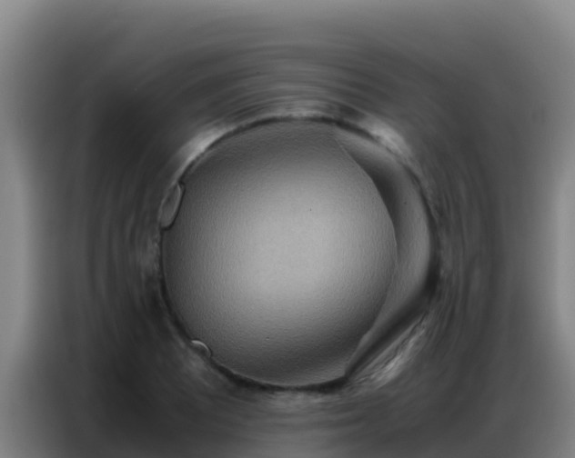 X0000086791081200704201839