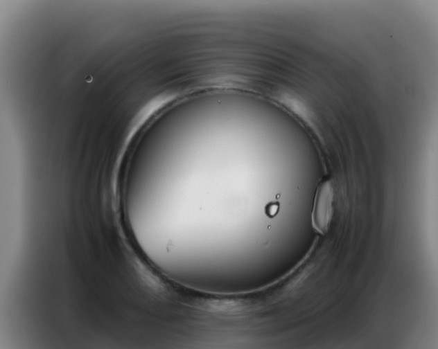X0000086791082200704201839