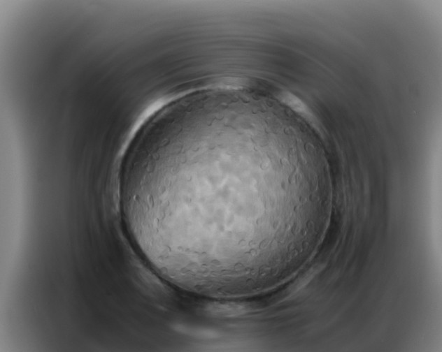 X0000086791083200704201839